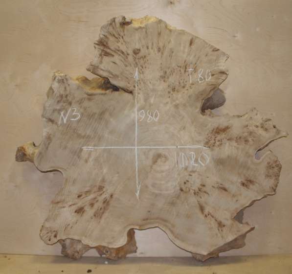 Продам слэбы поперечного капового тополя, Вл 8-10% в Москве фото 10