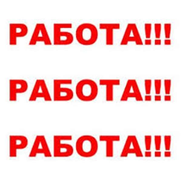 Срочно ! В частную фирму требуетя бухгалтер
