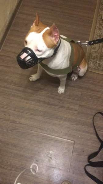 Бесплатно в Москве