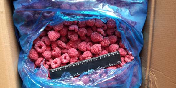 Замороженные ягоды и овощи оптом в Лобне фото 7