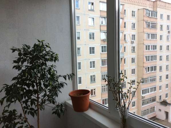 Продажа 3-х комнатной квартиры от СОБСТВЕННИКА в Ивантеевка фото 4
