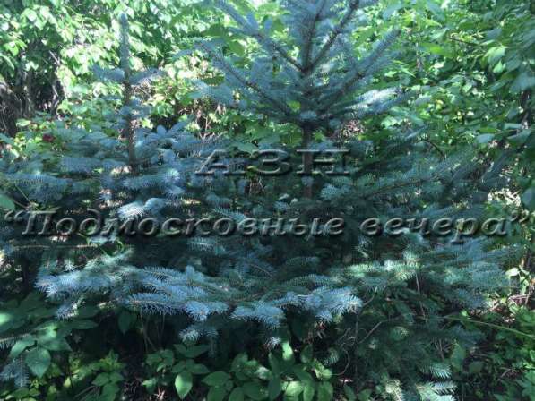 realty_mapper3.plot_in_locationИндивидуальное жилищное ст-во. Есть Электричество, Газ. в Москве фото 22