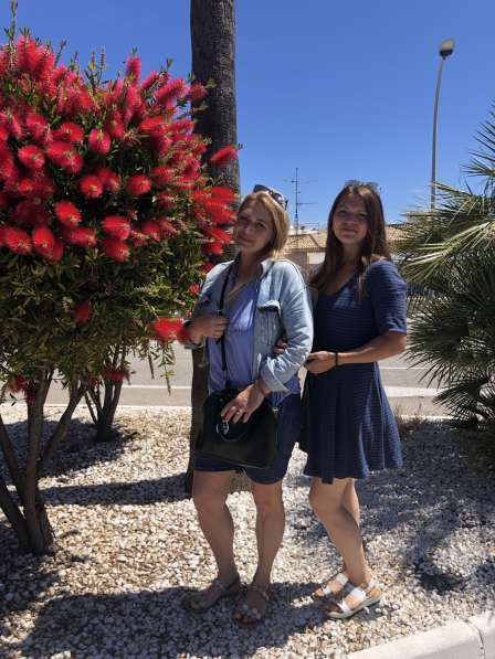 Maine Coon в фото 7