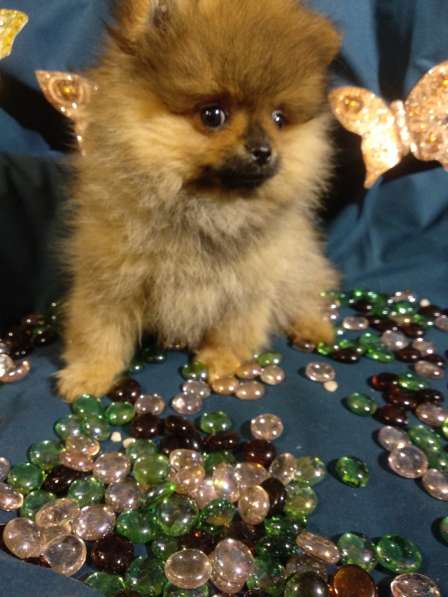 Мальчик в фото 4