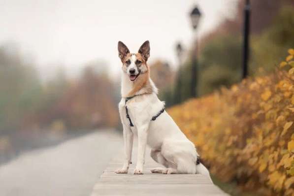 Тунис в поисках любящей семьи в Москве фото 19