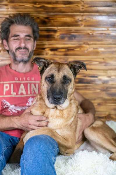 Славный богатырь Норд Батькович ищет дом в Москве фото 6