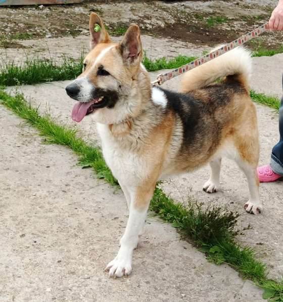 Супер позитивная девчонка Зира ищет своего ЧЕЛОВЕКА в Москве фото 5