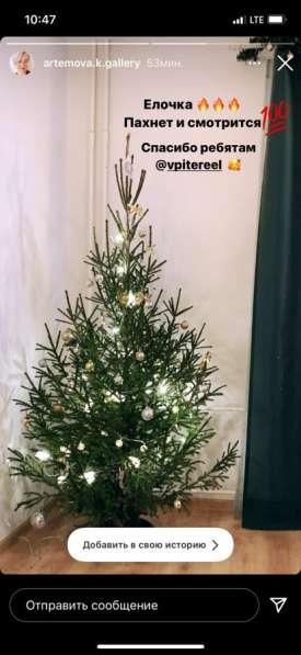 Ель Русская, ёлочка, новогодняя в Санкт-Петербурге фото 5