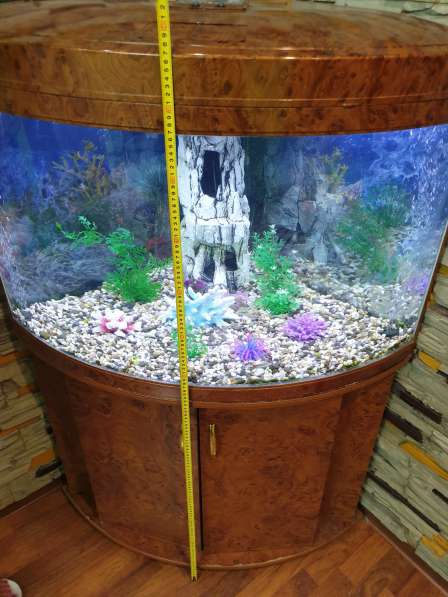 Продам большой аквариум в Новокузнецке фото 10