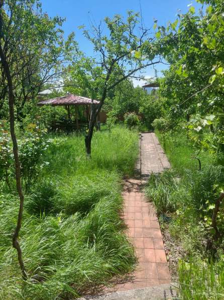 Продажа, земля и дом в Мцхета, Сагурамо в фото 9