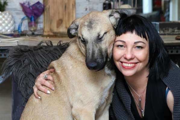 Милая домашняя собака-обнимака, 7 месяцев в Санкт-Петербурге