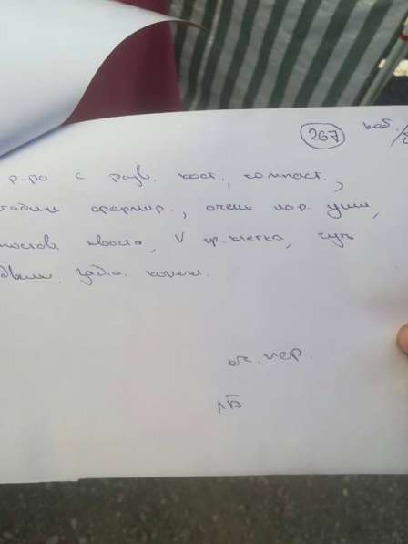 Продается щенок папийона в Краснотурьинске фото 10