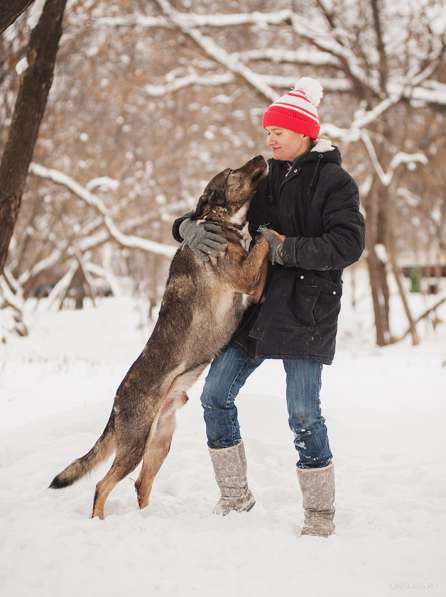 Надёжный Друг Курт ищет семью в Москве фото 9