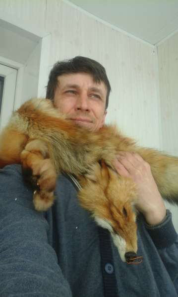 Обработка пушного и мехового сырья в Томске фото 4