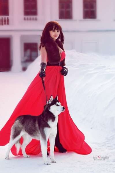 Щеночки черно-белые хаски. голубоглазые