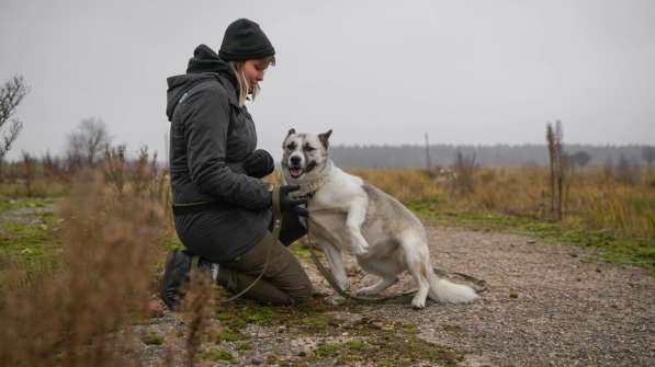Суперактивная Халва в Москве фото 27