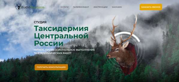 Студия &ndash; мастерская &laquo;Таксидермия Центральной России&raquo; в Нижнем Новгороде фото 5