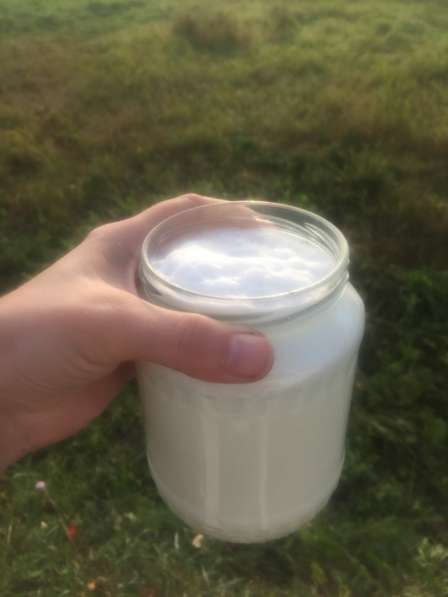 Козье Молоко в Шатуре фото 3