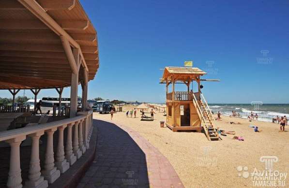 Тур Долина лотосов в Ростове-на-Дону