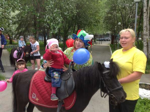 Пони и лошади на заказ в Екатеринбурге фото 3