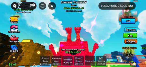 Соккетини успетти 4