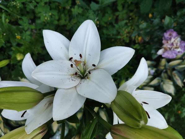 Юлия, 55 лет, хочет пообщаться