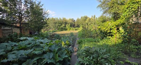 Продам дом по ул. Дорожная в Елеце фото 4