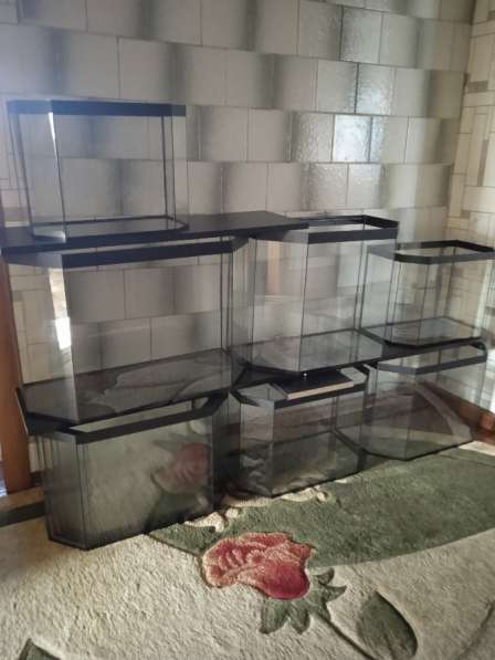 Аквариум в Белово