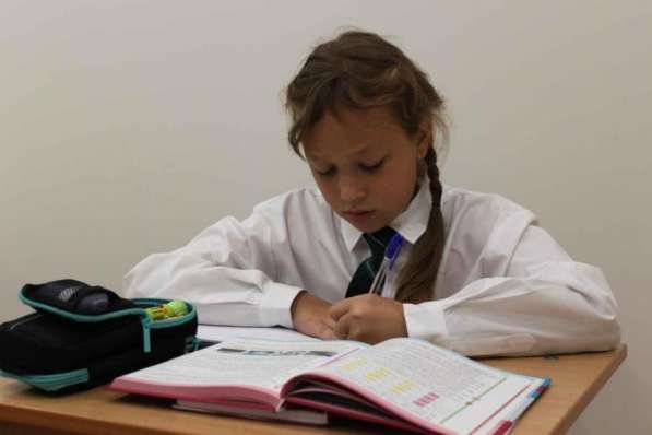 Частная школа - углублённые занятия и индивидуальные планы в Москве фото 4