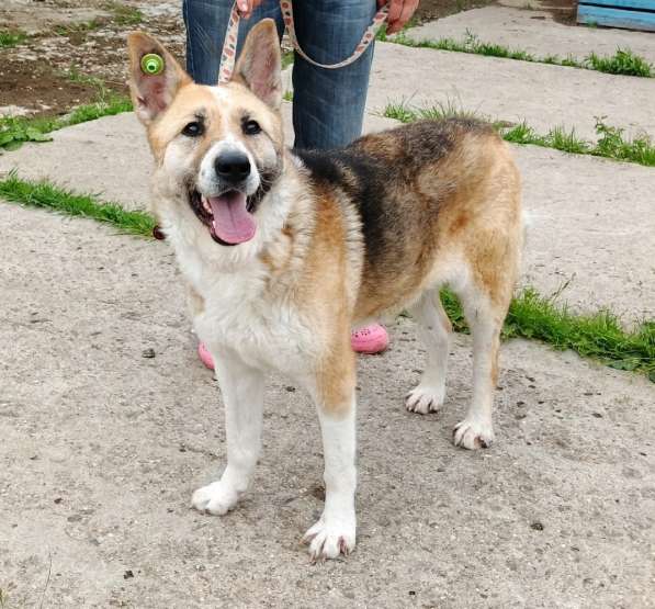 Супер позитивная девчонка Зира ищет своего ЧЕЛОВЕКА в Москве фото 6