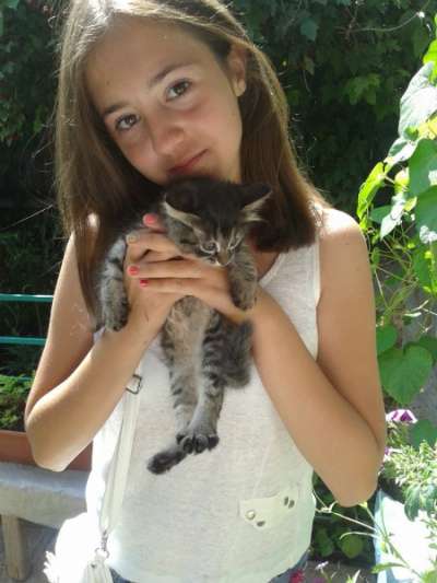 Отдам даром Отдаются котята в хорошие руки.