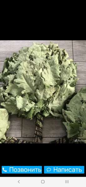 Вязальщицы в Майкопе фото 3