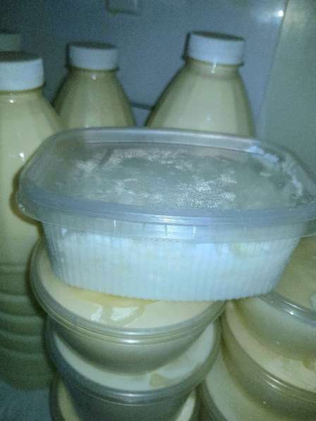 Фермерские молочные продукты:молоко, творог, сметана, йогурт в Кимре фото 7