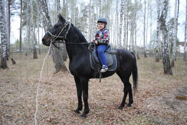 Индивидуальные конно-верховые прогулки и походы в Екатеринбурге фото 3