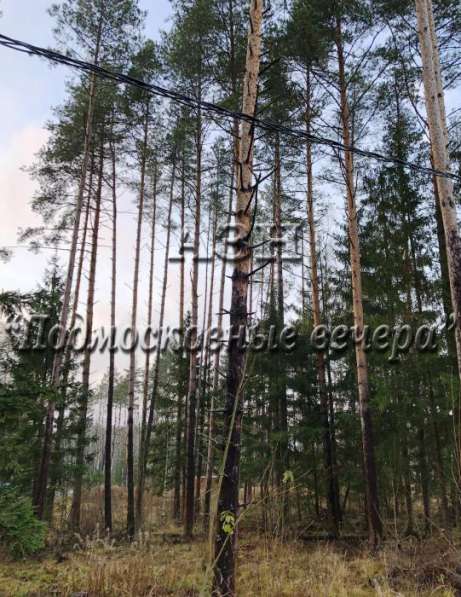 realty_mapper3.plot_in_locationСадовое некоммерческое тов-во. Площадь 10.00 сот.Есть Электричество. в Москве