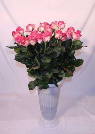 Бесплатная доставка длинных роз. Екатеринбург в Екатеринбурге фото 4