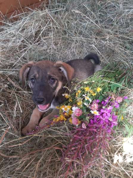 Кто искал счастье? Вы его нашли в Москве фото 5