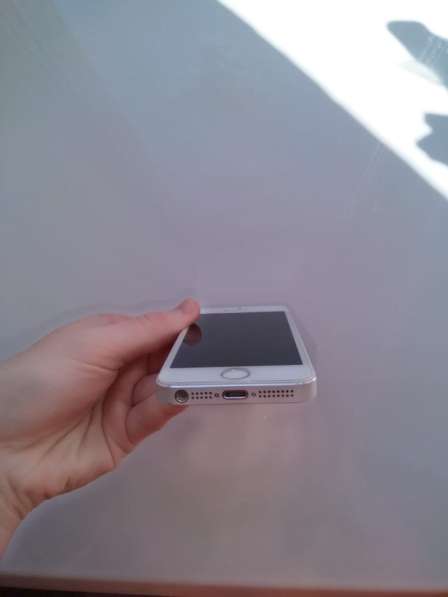 Apple iPhone 5S в Тобольске фото 9