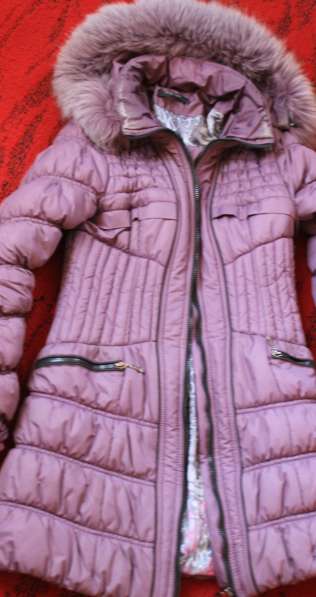Пуховик, куртка теплая, пальто в фото 3