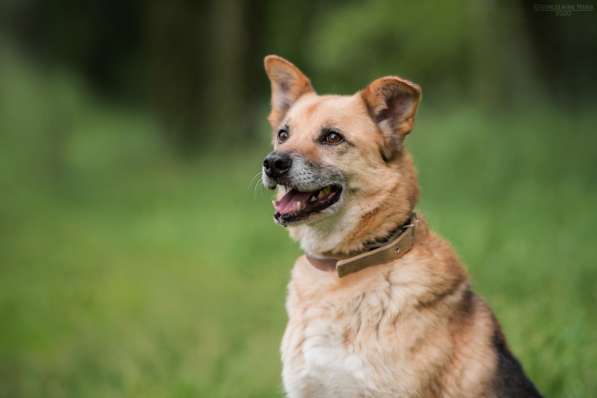 Харизматичный Марк ищет дом в Москве фото 12