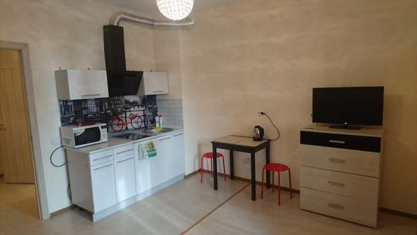 Сдается посуточно уютная квартира-студия у метро Девяткино в Санкт-Петербурге фото 16