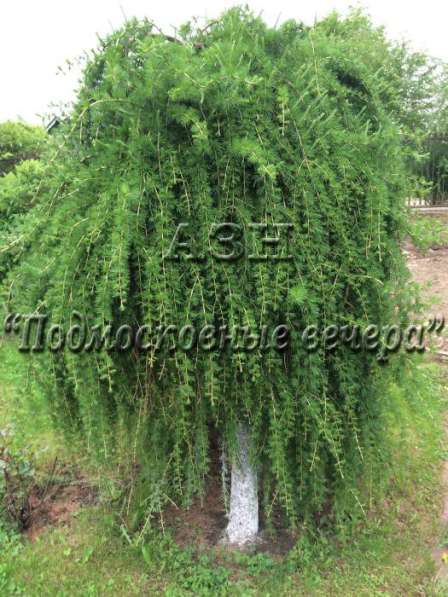 Продам дом в Москва.Жилая площадь 384 кв.м.Есть Канализация, Газ. в Москве фото 29