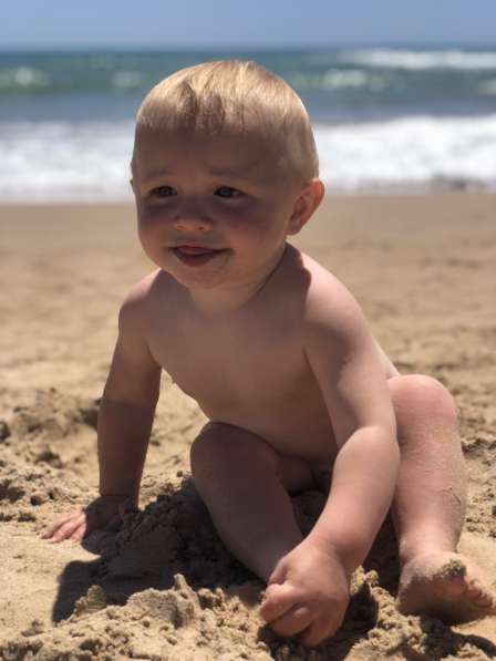 Maine Coon в фото 13