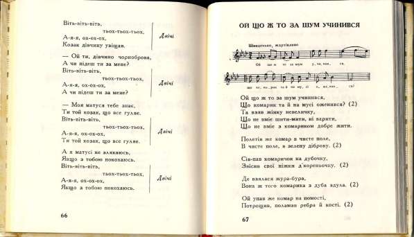 Песни сборник слов. Черемшина текст. Украинская песня текст. Черемшина текст на украинском. Песня Черемшина слова на украинском языке.