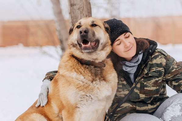 Кохинор ищет семью в Москве фото 46