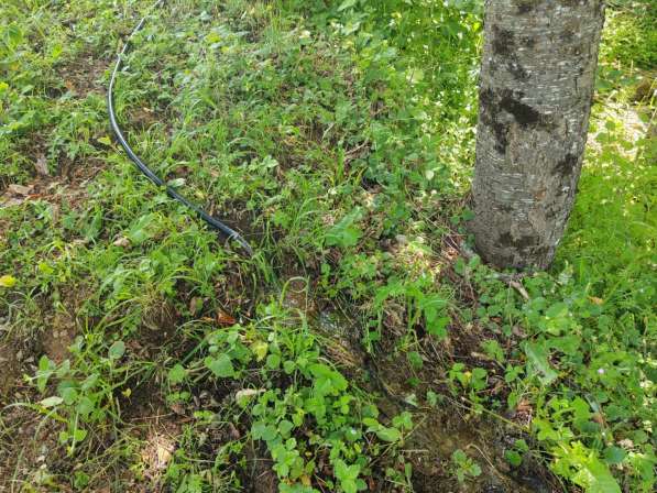 Продается урбанизированный участок в Колашине в фото 5