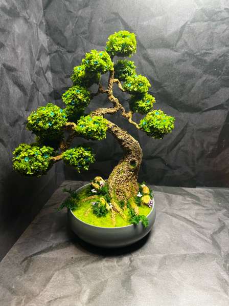 Композиция мини Бонсай