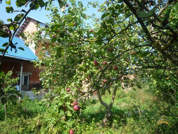 Кирпичный дом в г. Козельске, Калужской обл, 270 км. от МКАД в Домодедове фото 4