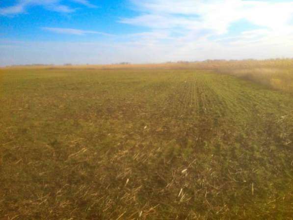 Участок 13.5 га (СНТ, ДНП) хутор Пригибский в Краснодаре фото 3