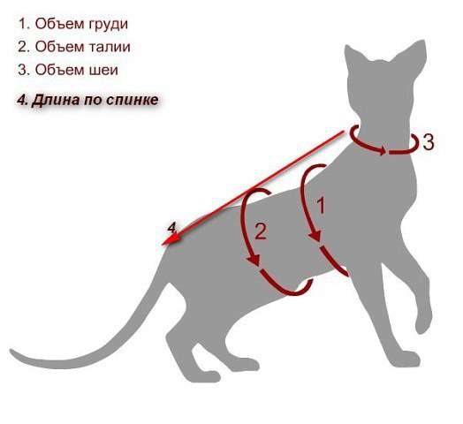 Вязаная одежда для кошек и собак в Челябинске фото 5